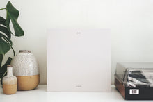 Load image into Gallery viewer, Gidge LNLNN vinyl