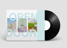 Load image into Gallery viewer, Sky Civilian Vinyl Open Door