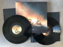 Load image into Gallery viewer, Igneous Polynation vinyl foto