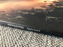 Load image into Gallery viewer, Igneous Polynation foto vinyl