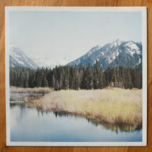 Load image into Gallery viewer, Gidge - New Light - Inner sleeve