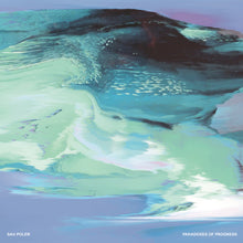 Load image into Gallery viewer, Sau Poler Paradoxes Of Progress