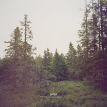 Load image into Gallery viewer, Gidge Autumn Bells Album Cover