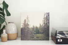 Load image into Gallery viewer, Gidge Autumn Bells 2LP vinyl photo
