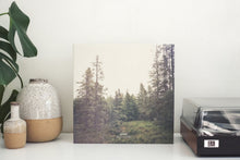 Load image into Gallery viewer, Gidge Autumn Bells 2LP vinyl photo