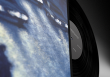 Load image into Gallery viewer, 12" vinyl atomnation sau poler