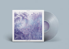 Load image into Gallery viewer, 12" vinyl transparent Polynation Wildeburg Coral