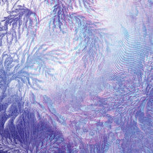 Load image into Gallery viewer, Polynation Wildeburg EP Artwork